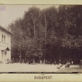 "A városligeti artézi fürdő parkrészlettel. A felvétel 1890 után készült." A kép forrását kérjük így adja meg: Fortepan / Budapest Főváros Levéltára. Levéltári jelzet: HU.BFL.XV.19.d.1.07.167