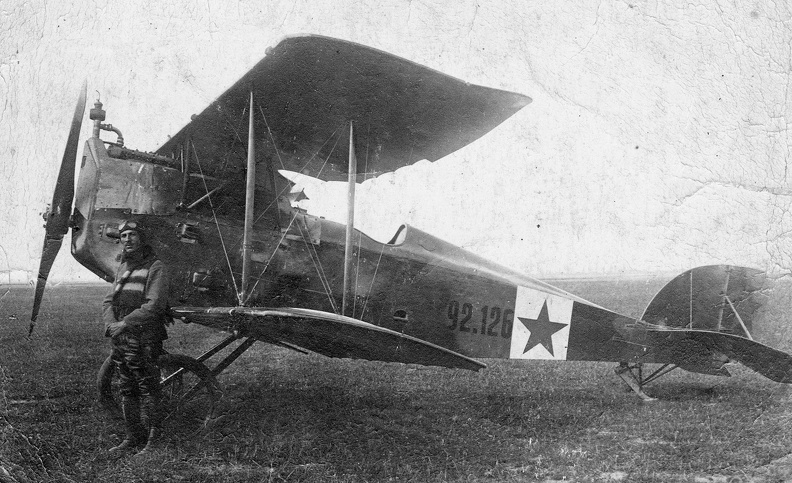 Berg D-I típusú vadászgép.
