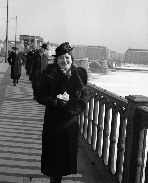Margit híd, háttérben a Jászai Mari (Rudolf) tér épületei.
