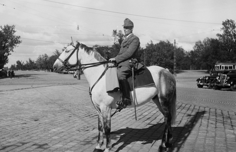 Üllői út - Könyves Kálmán körút kereszteződés, jobbra hátul a Népliget, előtérben egy lovasrendőr.