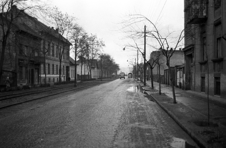 Mária Terézia (Rózsa Richárd) utca.