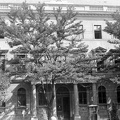 Közlekedési Műszaki Egyetem (1952-1957), ma a Megyei Bíróság épülete.