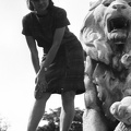 Ybl Miklós tér, a Várkert bazár bejáratának egyik oroszlánja