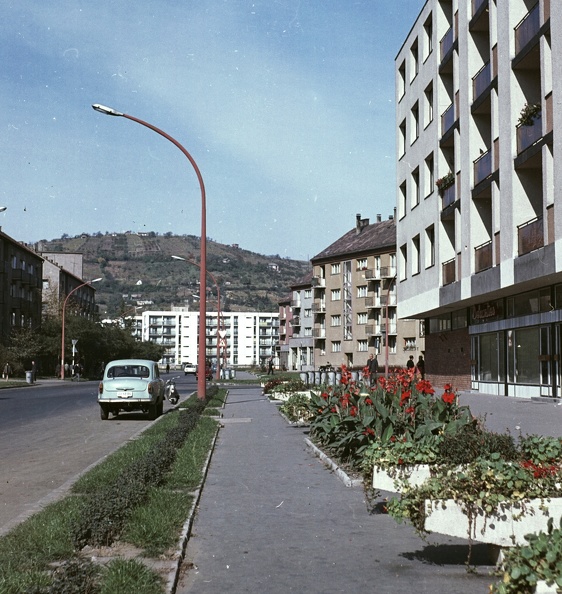 Ybl Miklós utca a Makár-hegy felé nézve.