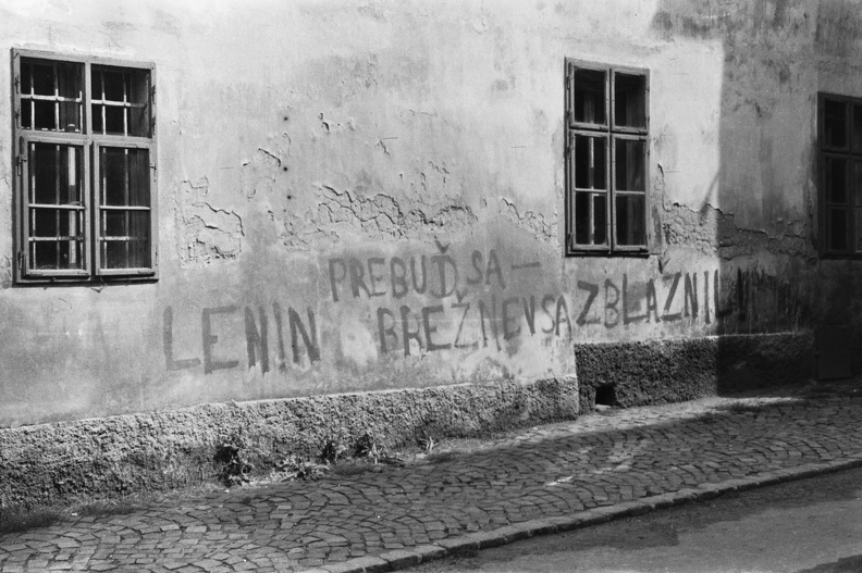 A felirat magyarul: "Lenin, ébredj, Brezsnyev megőrült"