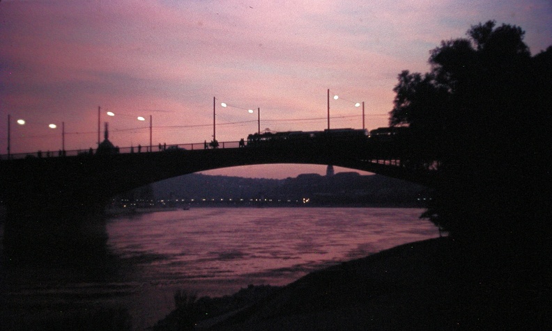 Margit híd, háttérben a budai Vár a Margitsziget pesti oldaláról nézve.