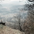 Kő-hegy, kilátás Pomáz felé.